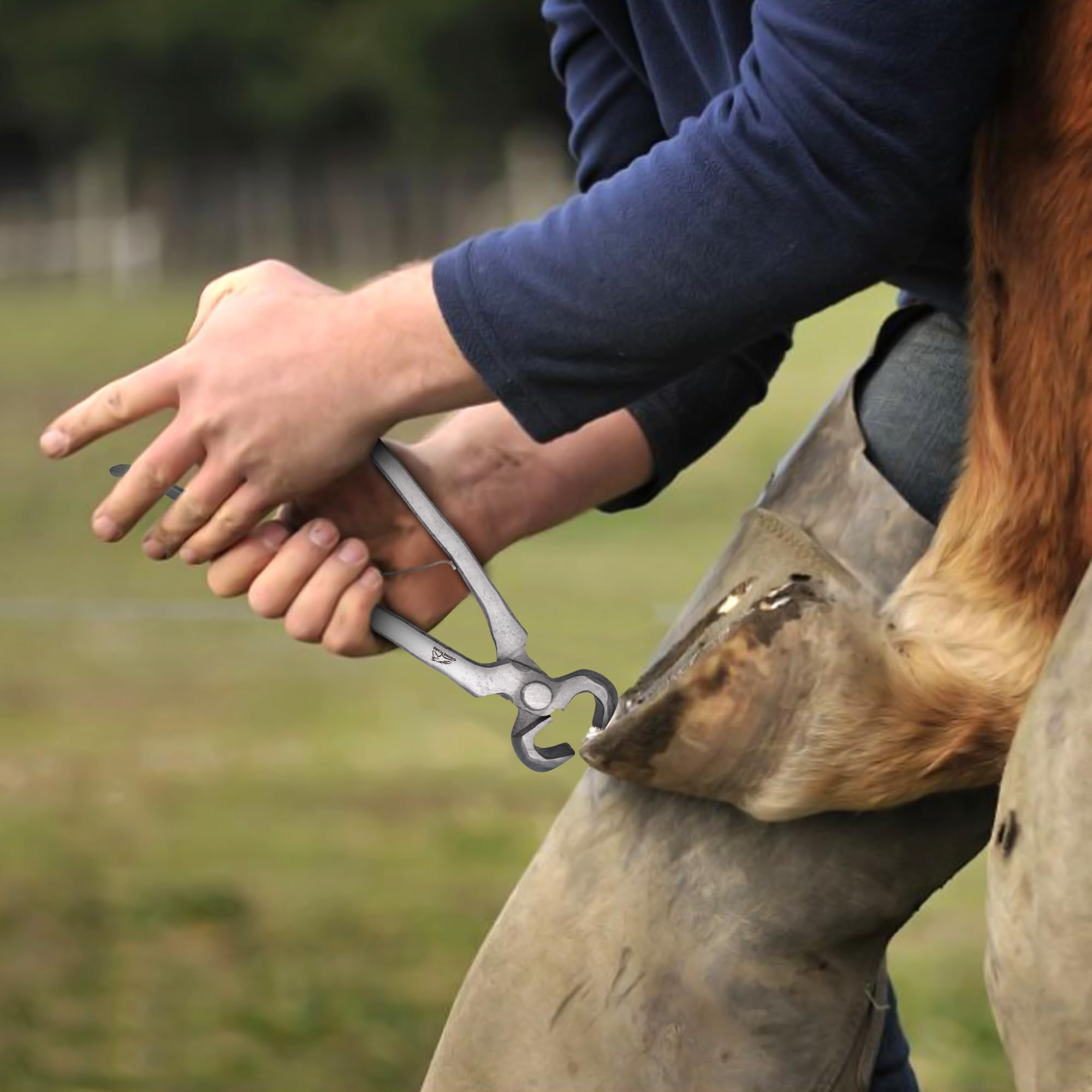 Equine Care acero cromo-vanadio forjado ofrece durabilidad y rendimiento.