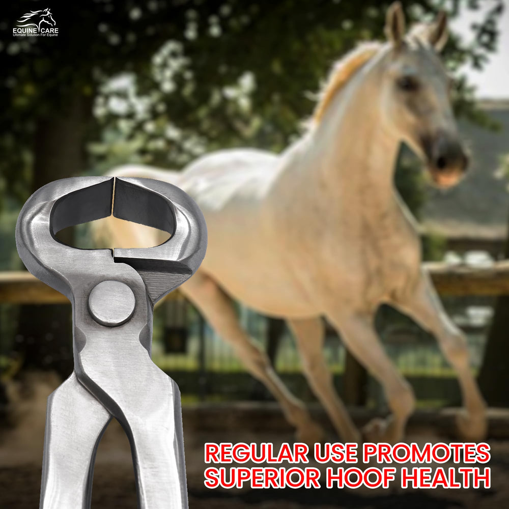 Equine Care bolsa roja de transporte incluida para almacenamiento seguro.