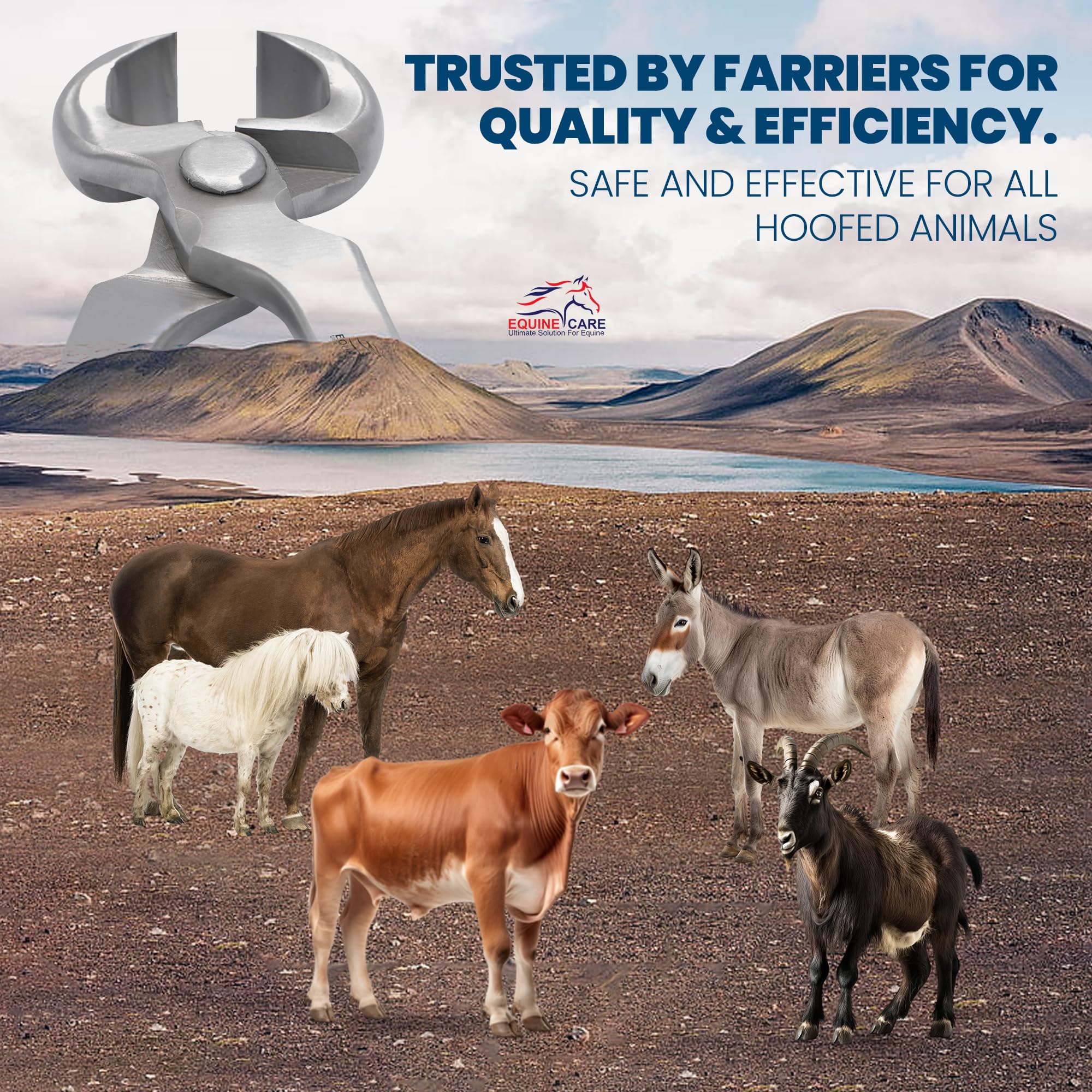 Equine Care construcción profesional de alta durabilidad para trabajo diario.