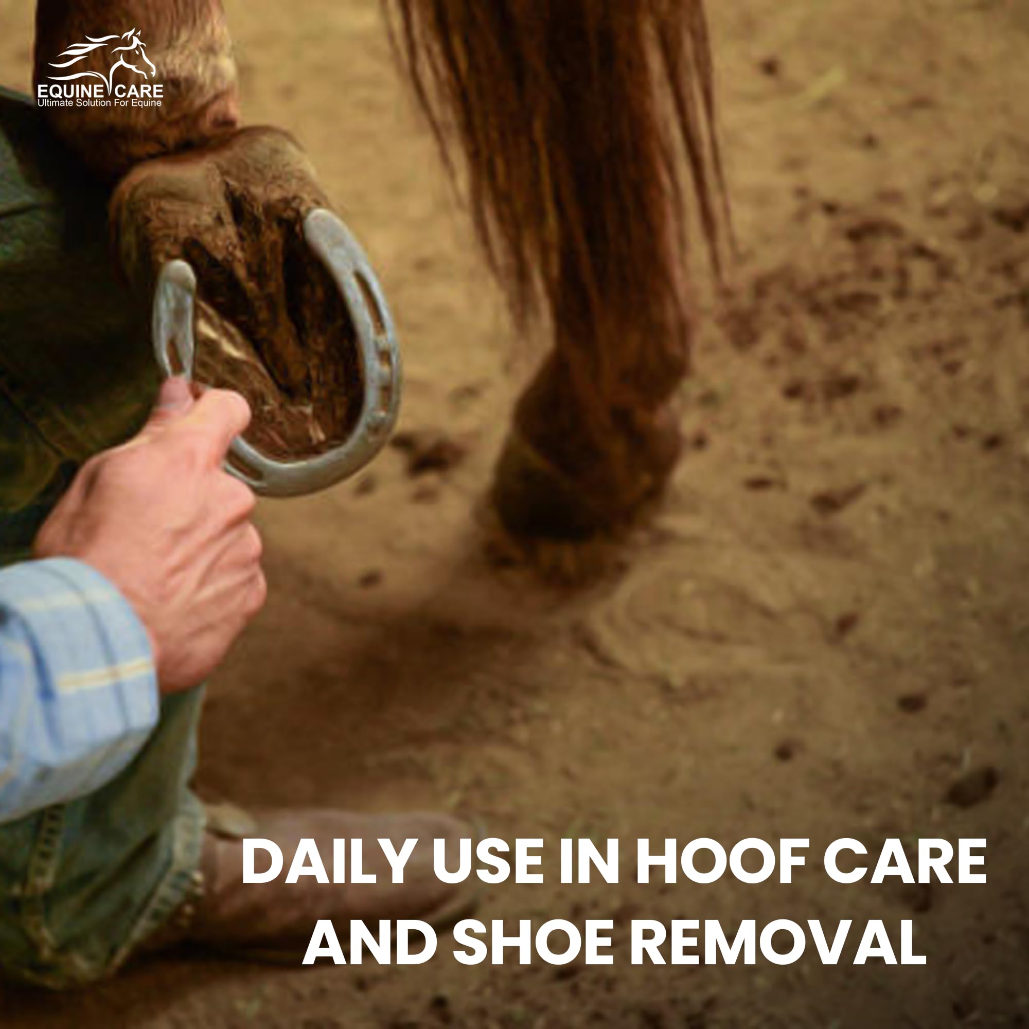 Equine Care diseño equilibrado apto para principiantes y profesionales