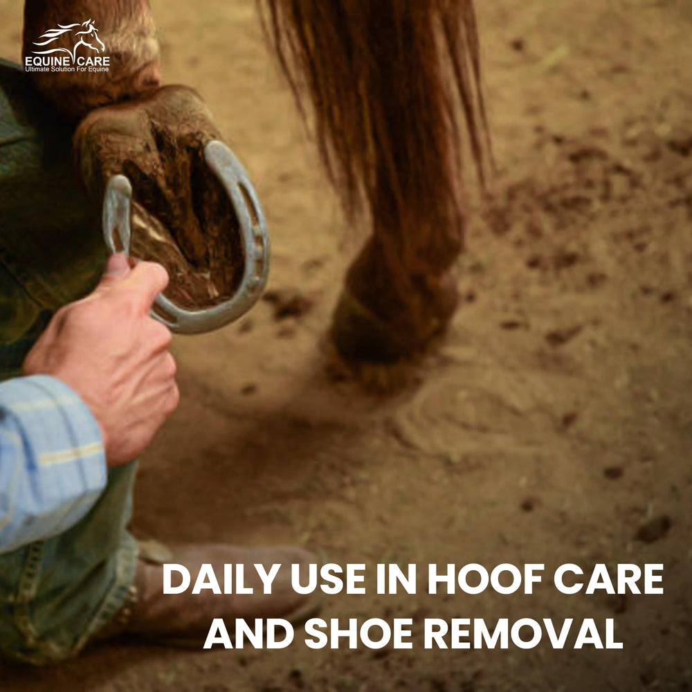 Equine Care diseño equilibrado apto para principiantes y profesionales