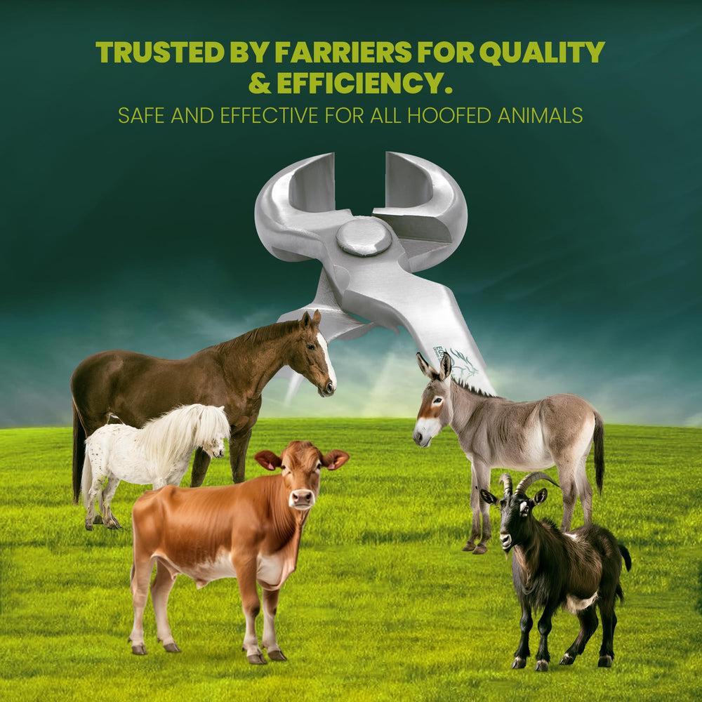 Equine Care uso profesional para herradores y dueños de caballos.