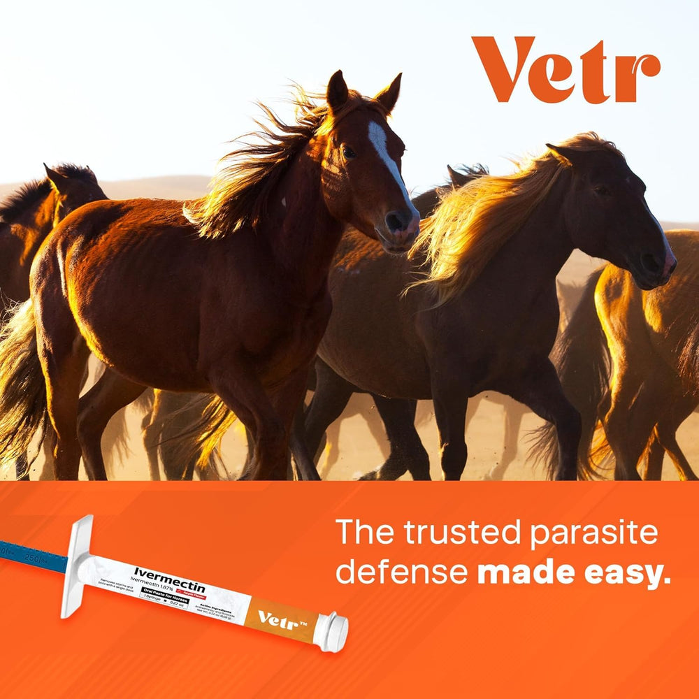 Equine Prime Ivermectina, aplicación en caballos, manejo práctico de parásitos.