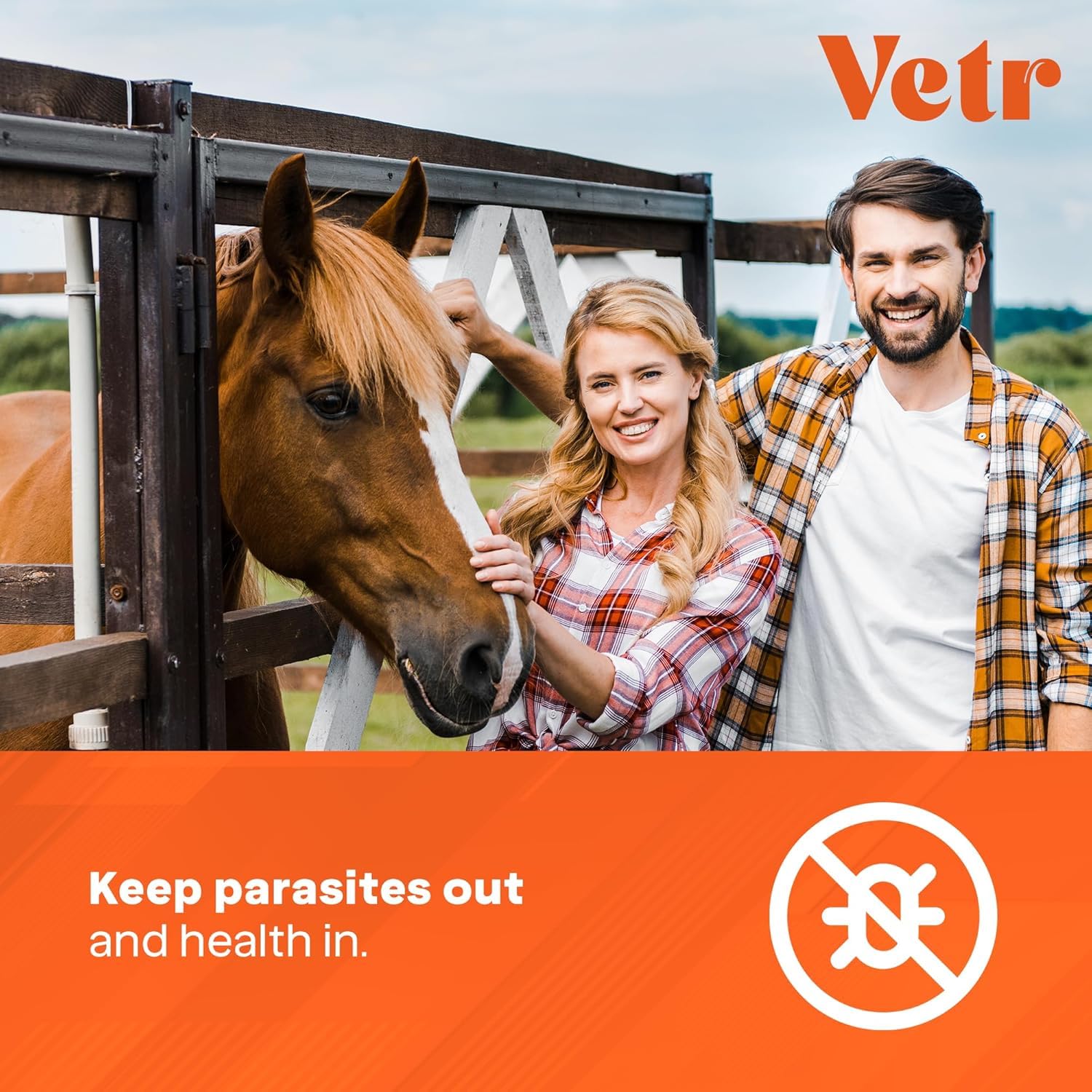 Equine Prime Ivermectina, uso en ovejas, apoyo al cuidado de parásitos externos.