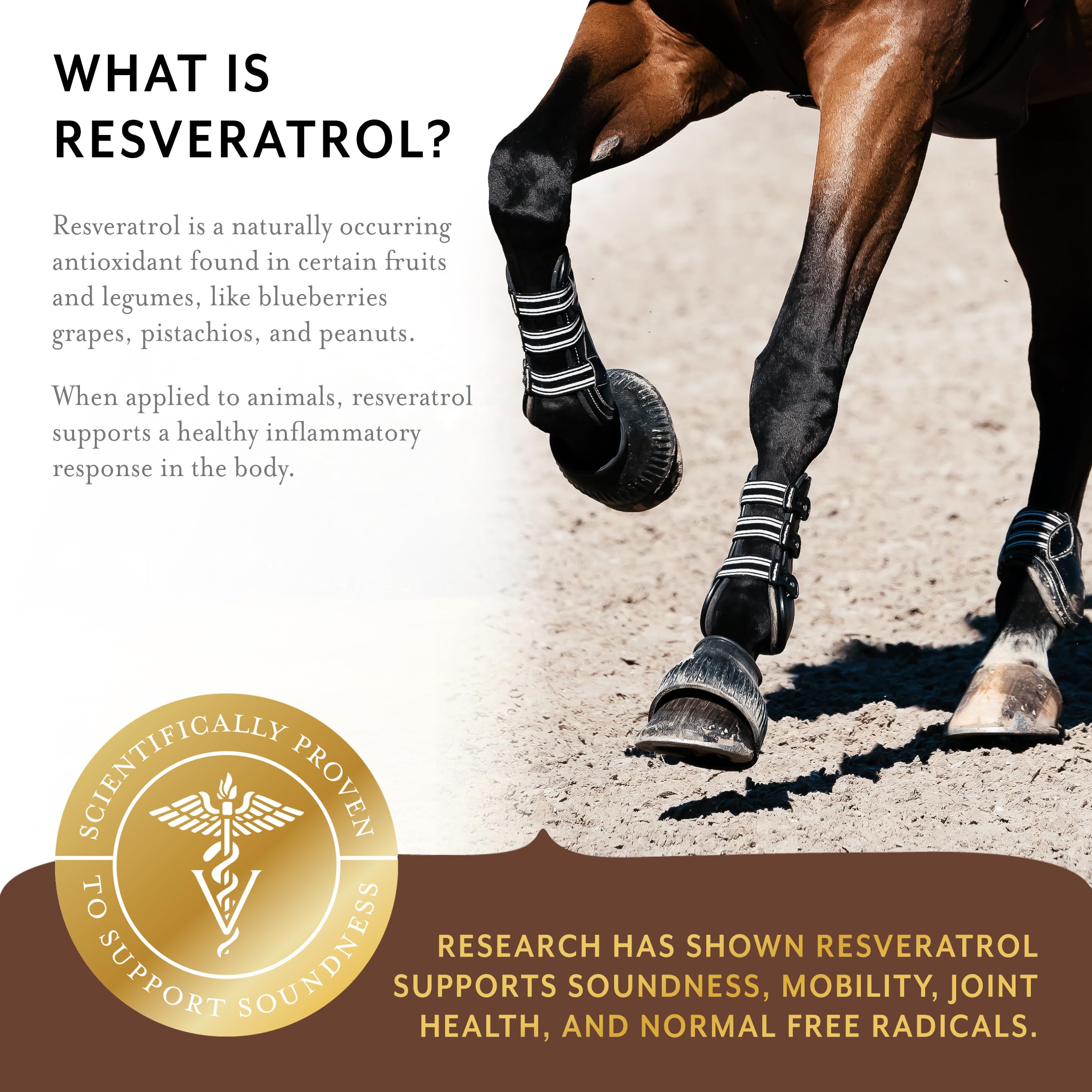 Equithrive Complete Articulacion Perlas: etiqueta detalle con ingredientes clave para articulaciones