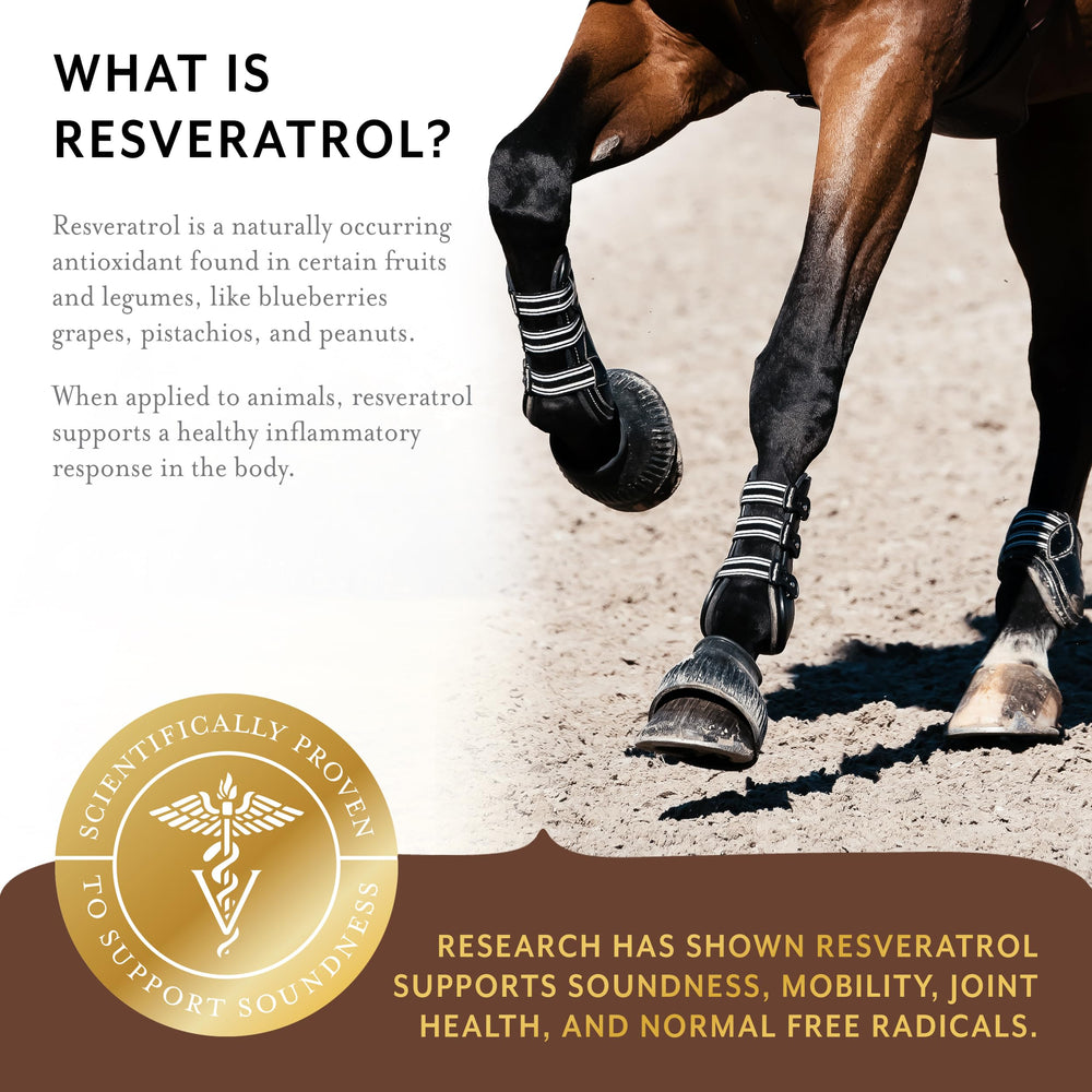 Equithrive Complete Articulacion Perlas: etiqueta detalle con ingredientes clave para articulaciones