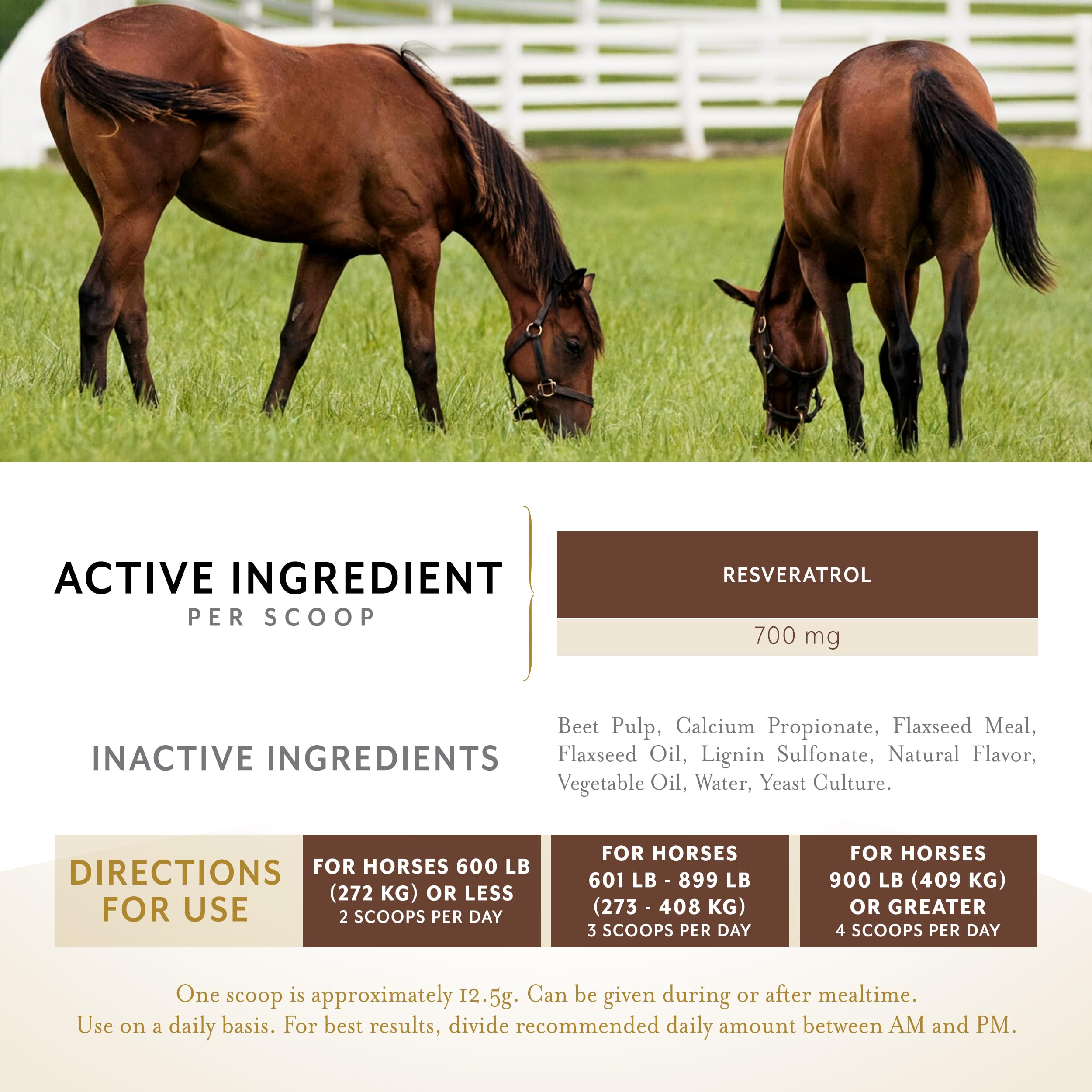 Equithrive Metabarol pellets en alimento, fácil integración en la dieta.