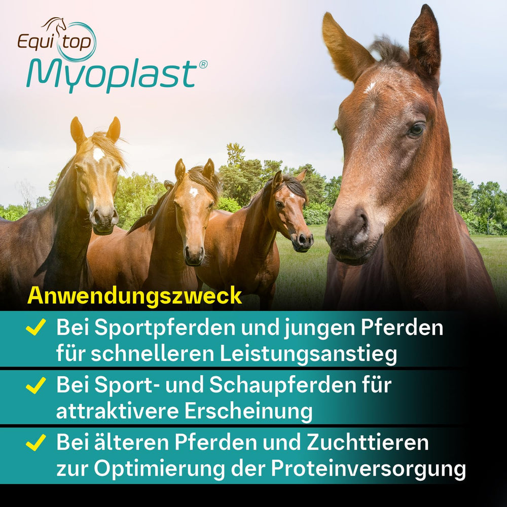 Equitop Myoplast: uso diario durante entrenamiento para apoyar el rendimiento.