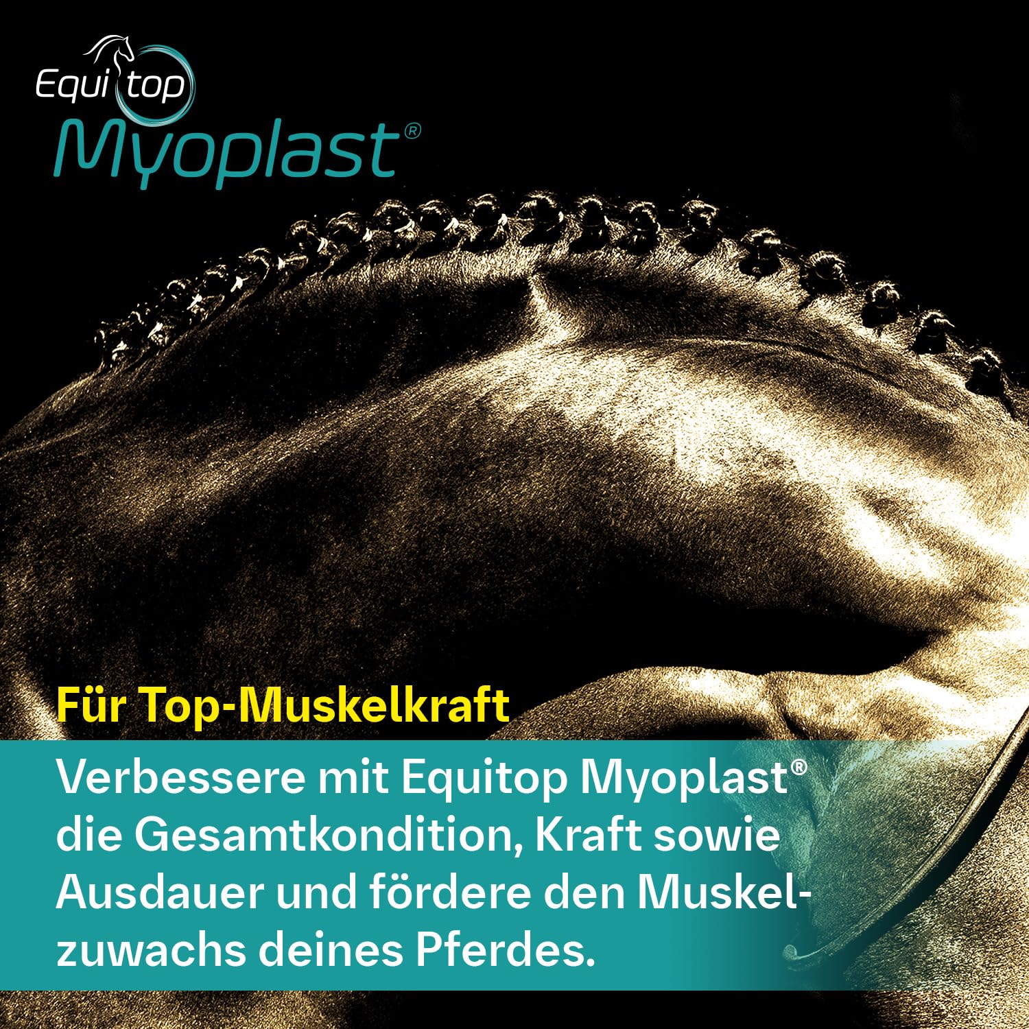 Equitop Myoplast: verter la dosis en la copa para mezcla homogénea.