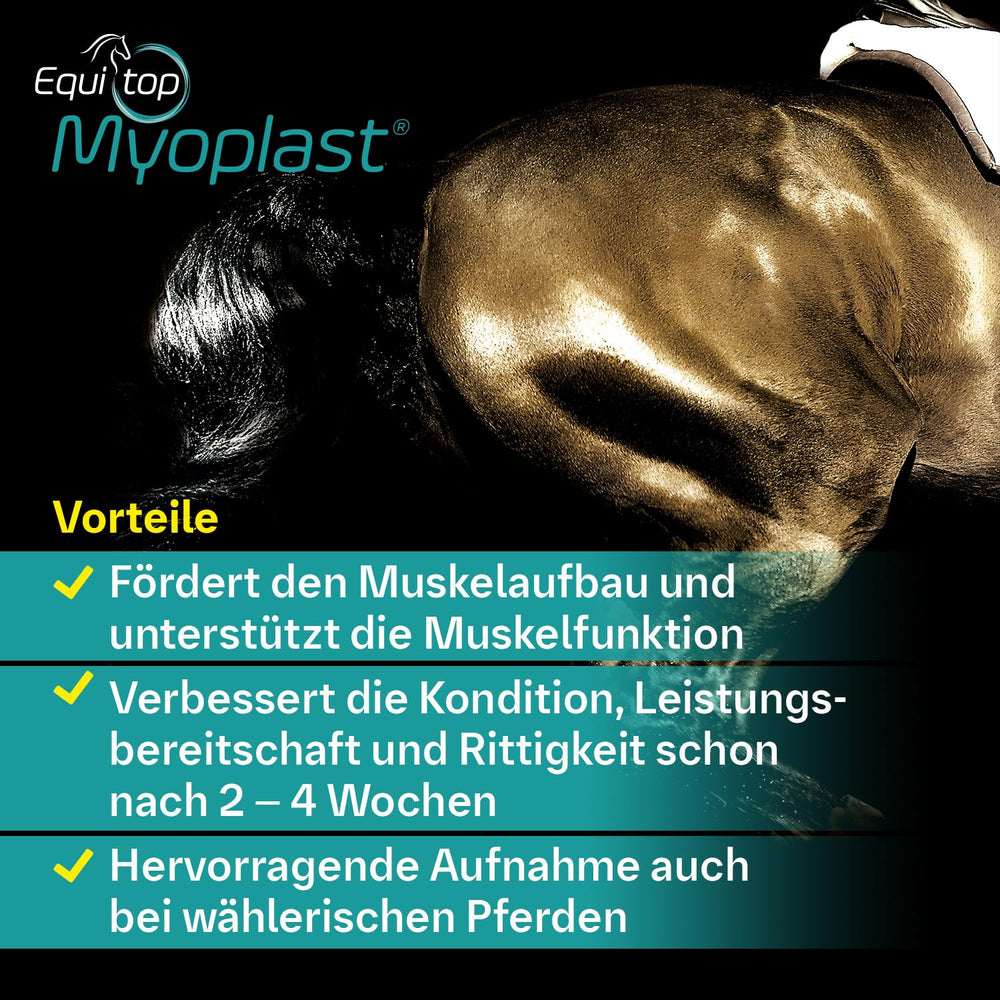 Equitop Myoplast: mezcla de aminoácidos para apoyar desarrollo muscular magro.
