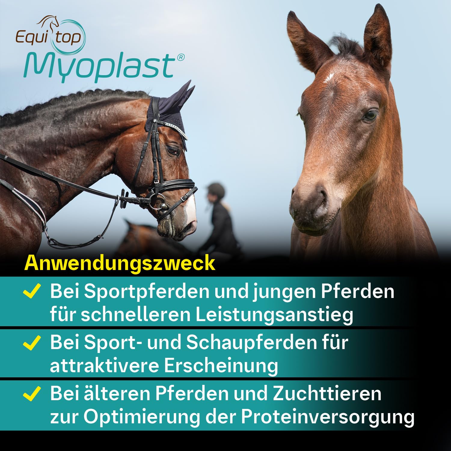 Equitop Myoplast: recomendado por veterinarios para periodos de mayor demanda protéica.