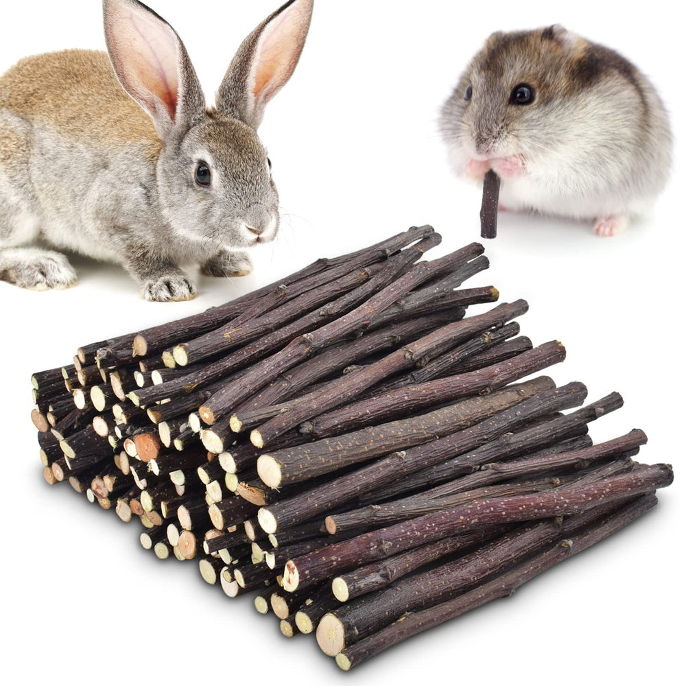 ERKOON palitos de manzana 300 g, empaque: mordedor natural para dientes sanos.