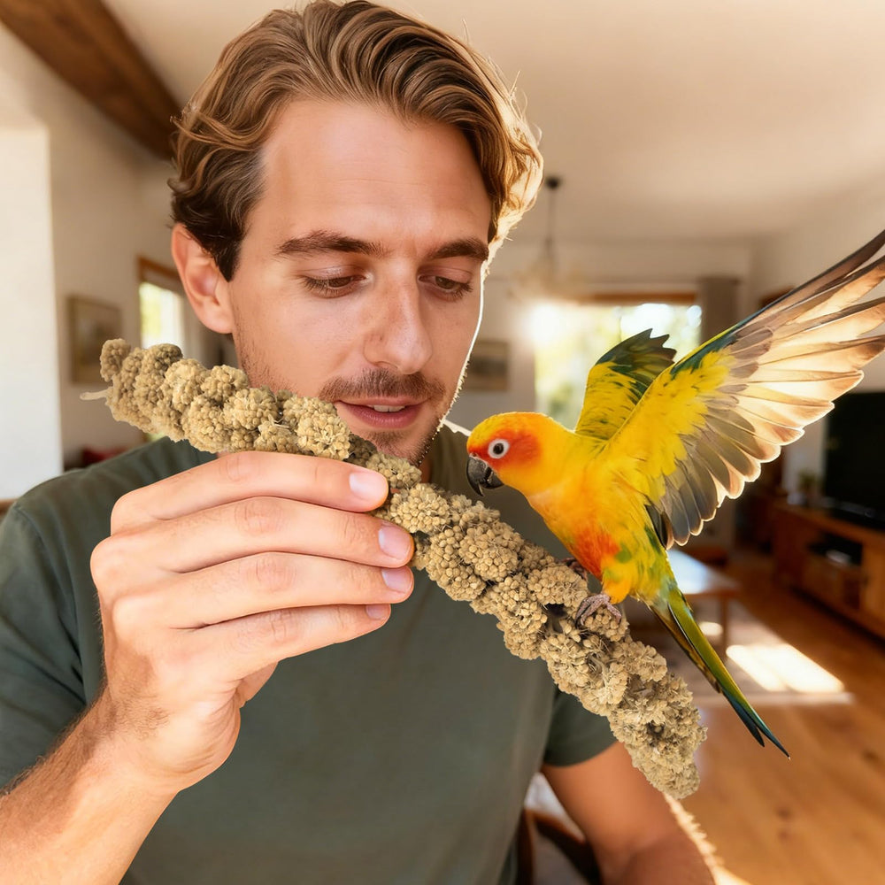 ERKOON snack de mijo para periquitos y agapornis, uso diario