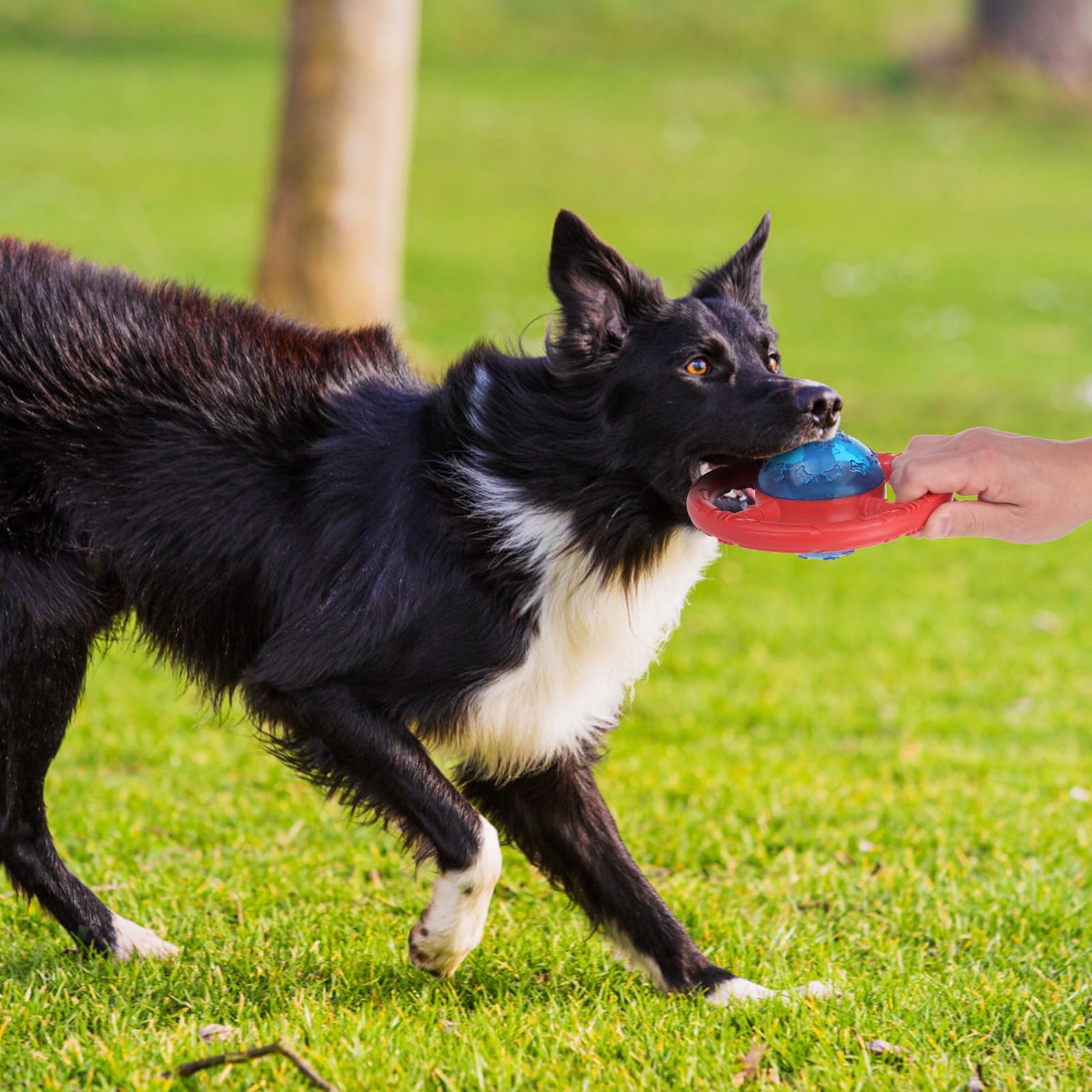 EsGPET juguete durable para perros pequeños y medianos, pensado para uso diario.
