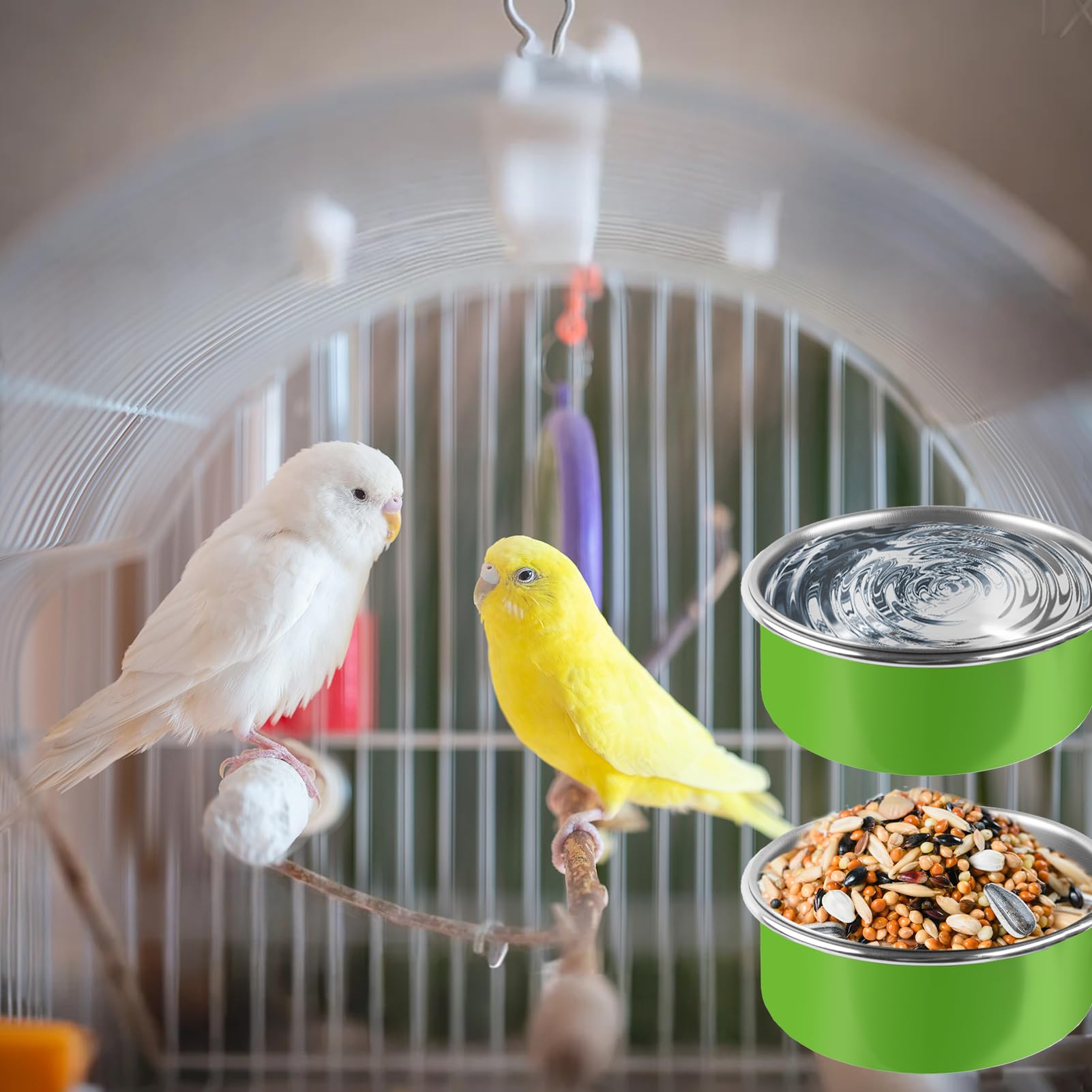 Esmorah: compatibilidad amplia para aves pequeñas y mascotas