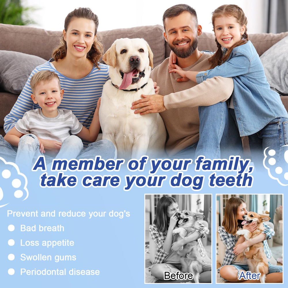 ETACCU Kit dental para perros con tres cabezas intercambiables