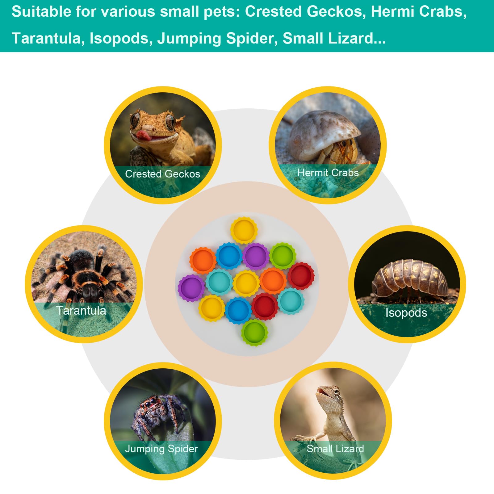 Uso versátil Eudimysx, ideal como plato de comida o agua para mascotas pequeñas.