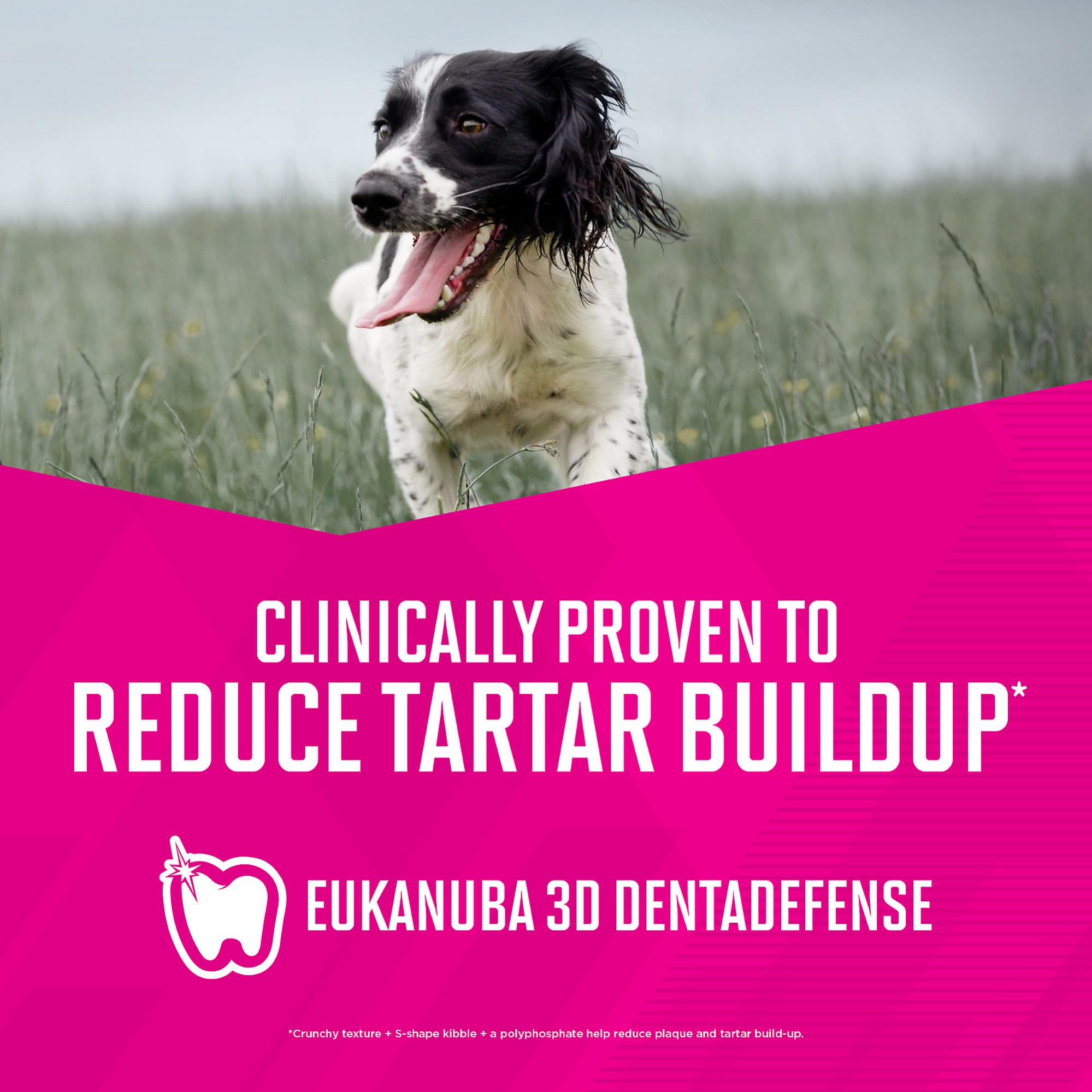 Eukanuba para raza pequeña pollo de alta calidad como primer ingrediente.