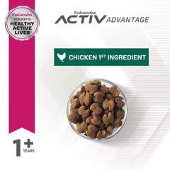 Perro grande caminando en parque con alimento de marca Eukanuba Fit Body.