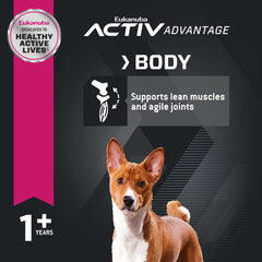 Eukanuba Adultos Bocados Pequeños: DHA y vitamina E para función cerebral saludable.