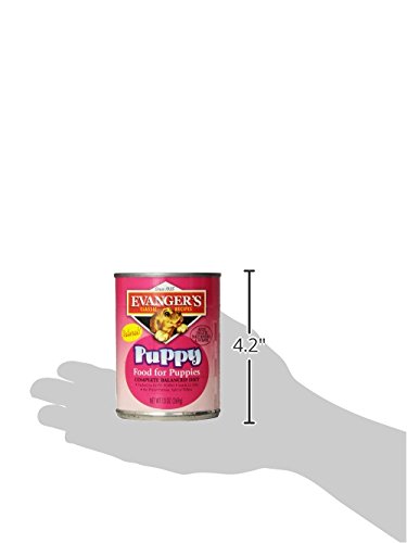 Evanger's Heritage Clasica Senior, lata pollo-arroz, opción balanceada