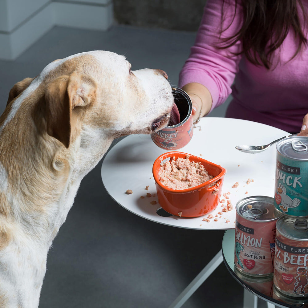Uso versátil de Hi·Bio: alimento completo o mezcla con aderezos