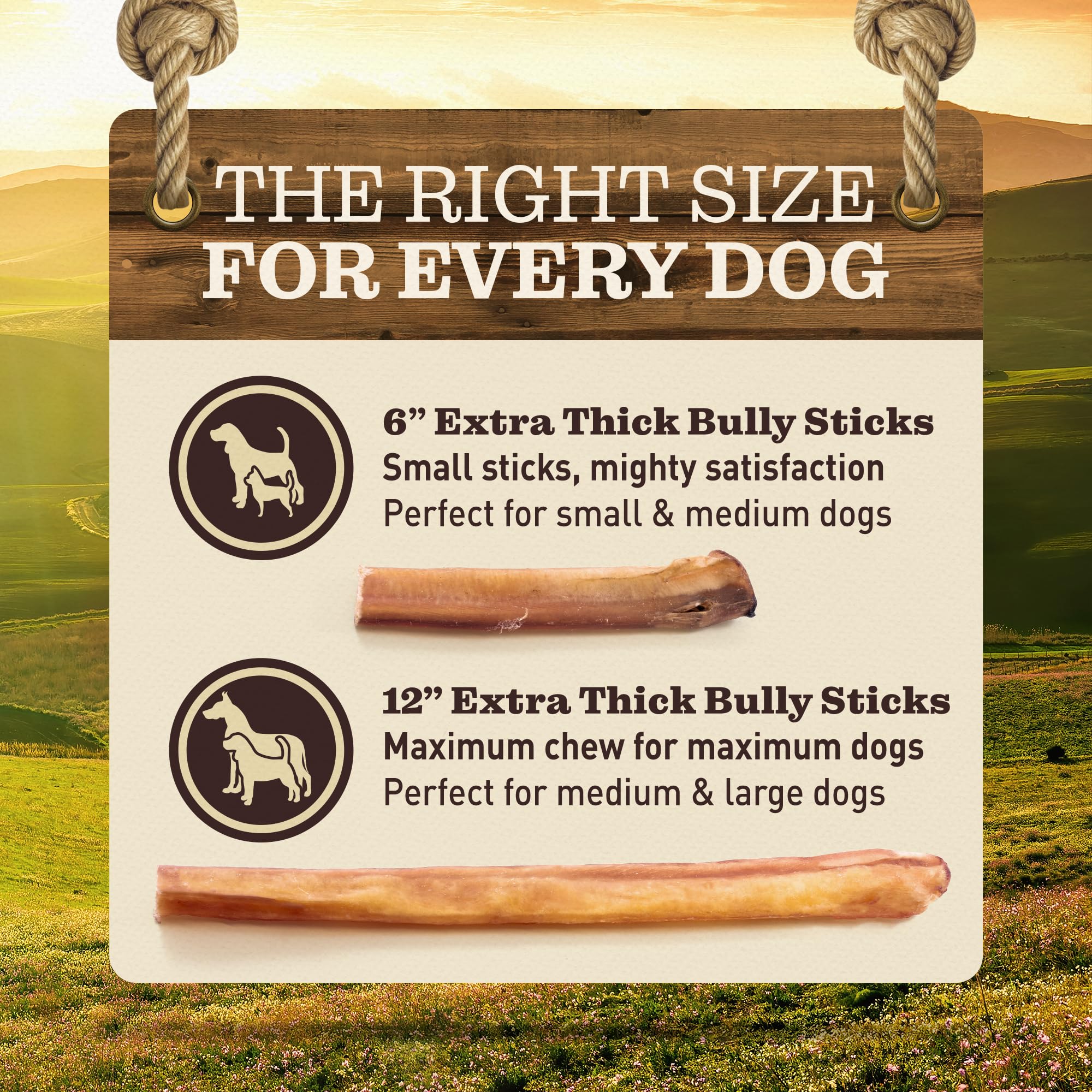 Ever Farm Res alimentada con pasto palitos bully 12 pulgadas.