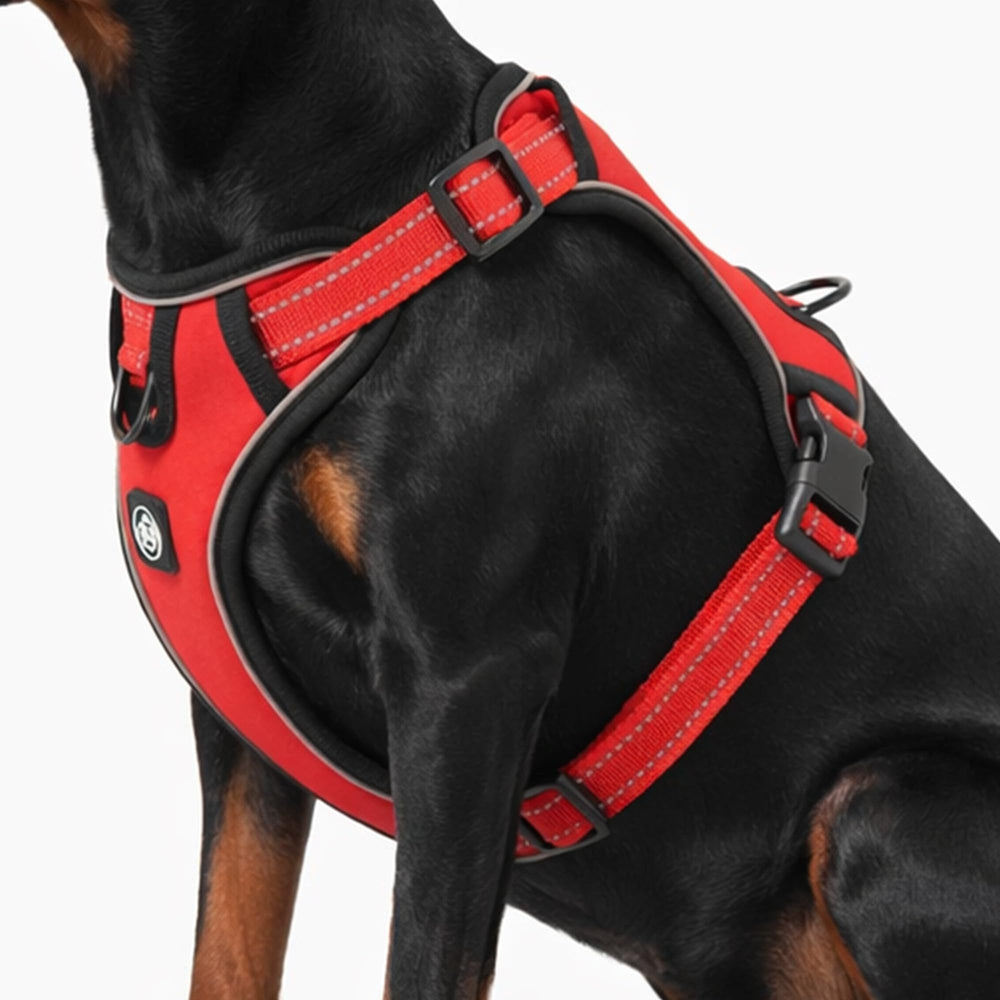 Everking arnés perro transpirable y ajustable ofrece ajuste seguro en paseos prolongados.