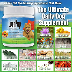 EverPup glucosamina para movilidad y confort en perros.