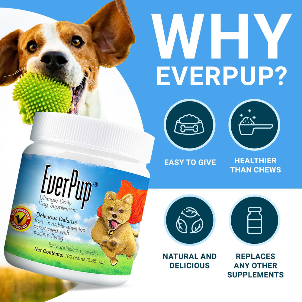 EverPup polvo con dosificador para dosis consistentes cada vez.