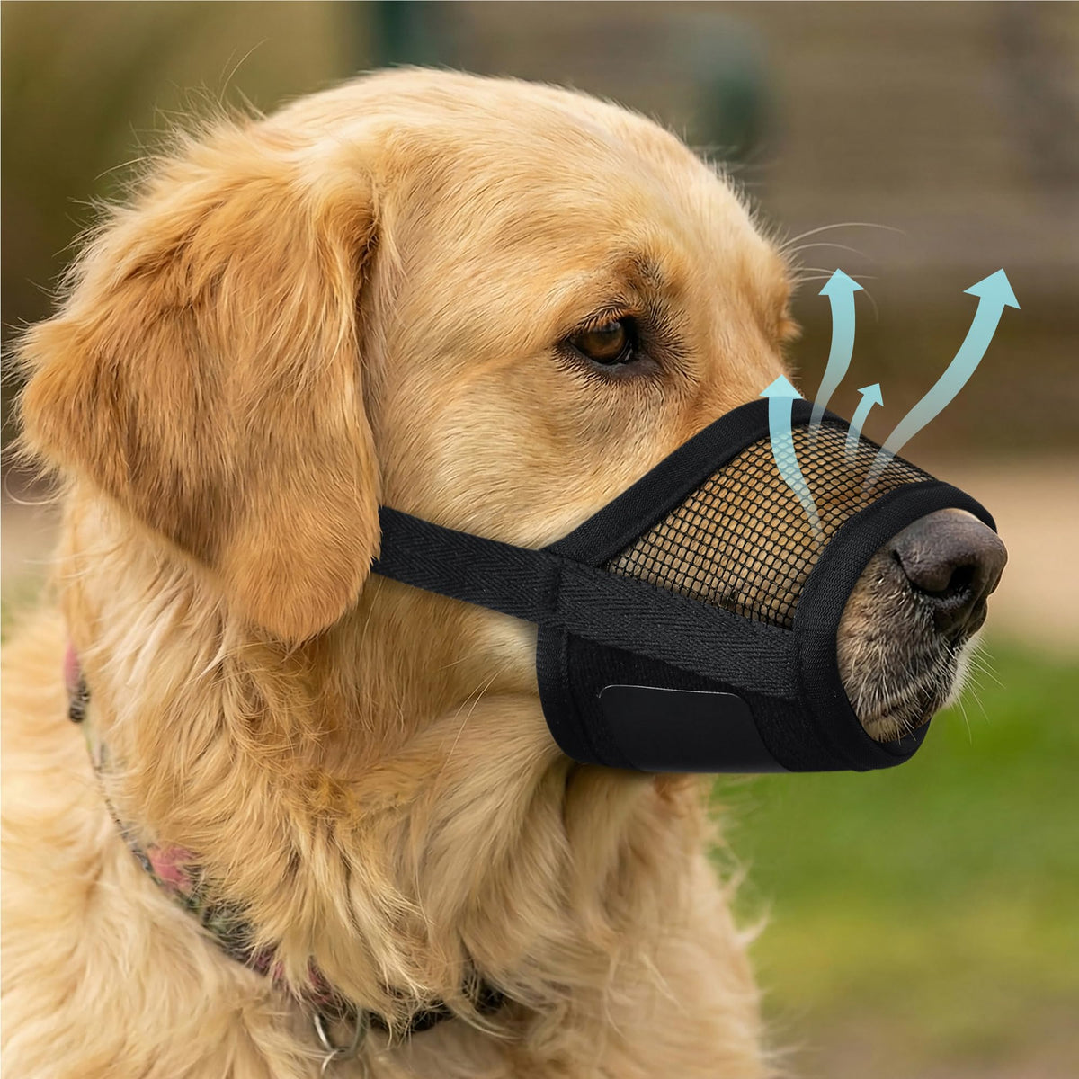 Mordaza Evollax para perro grande con malla de aire, ideal para paseos cómodos.