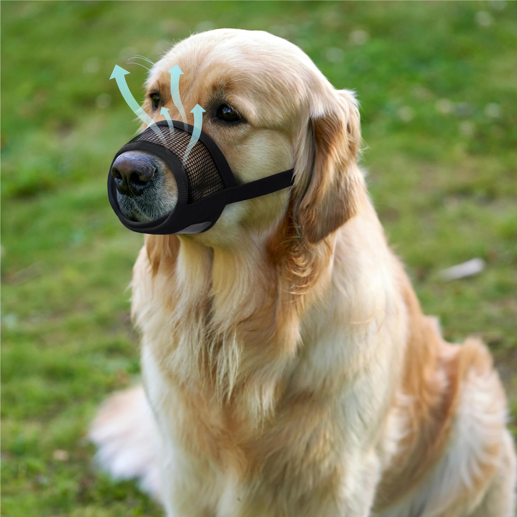 Mordaza Evollax para perro grande, ideal para viajes y paseos.