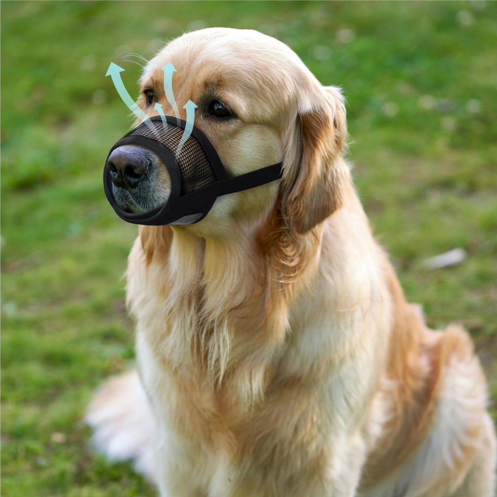 Mordaza Evollax para perro grande, ideal para viajes y paseos.
