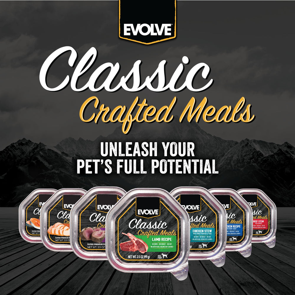 Evolve nutricion-equilibrada-cordero-perros, apoyo a una dieta equilibrada.