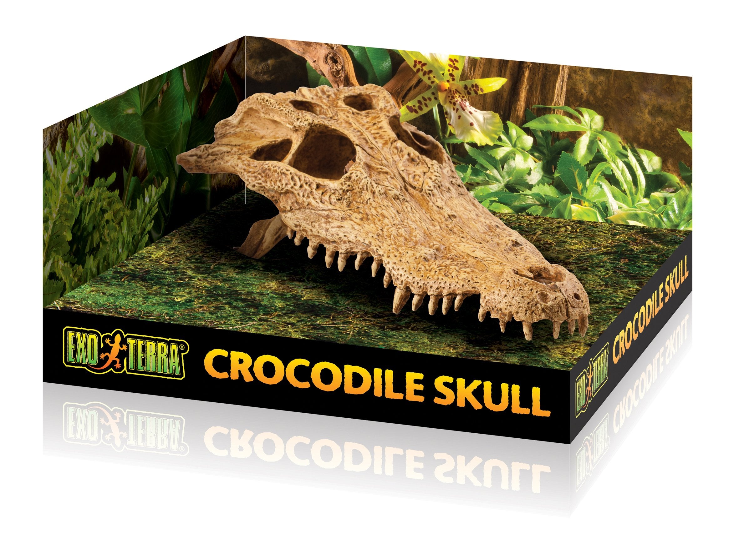 Exo Terra calavera cocodrilo duradera, resina no tóxica para terrarios