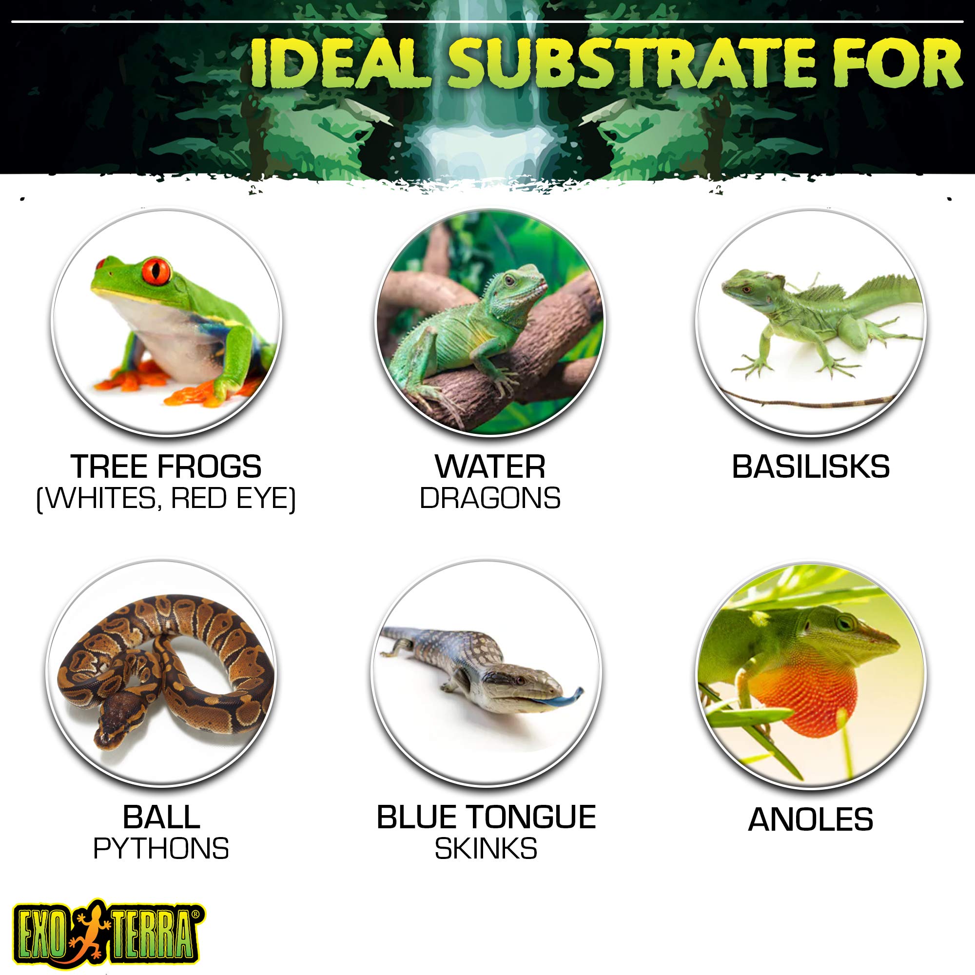 Coco Husk Brick sin químicos, sustrato seguro para anfibios y reptiles.