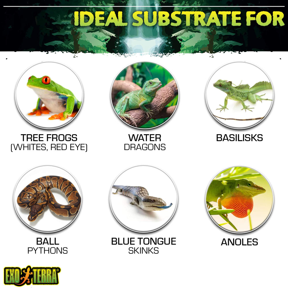 Coco Husk Brick sin químicos, sustrato seguro para anfibios y reptiles.