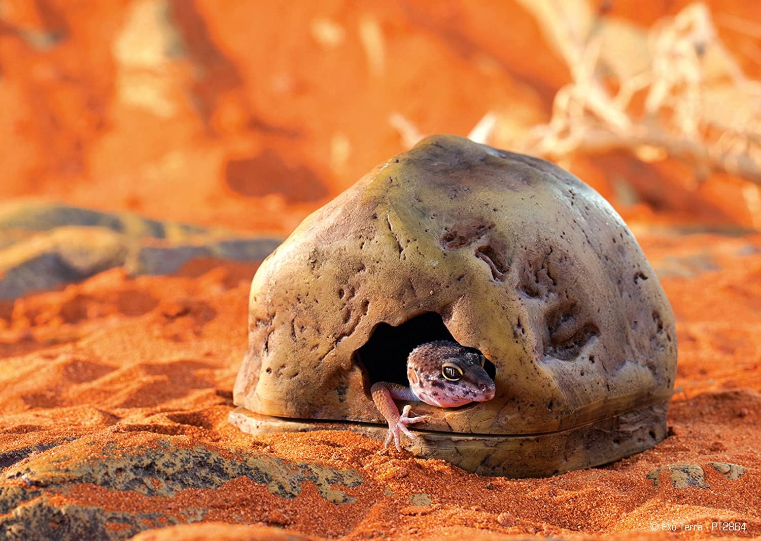 La Gecko Cave de Exo Terra se integra fácilmente en terrarios desérticos y tropicales.