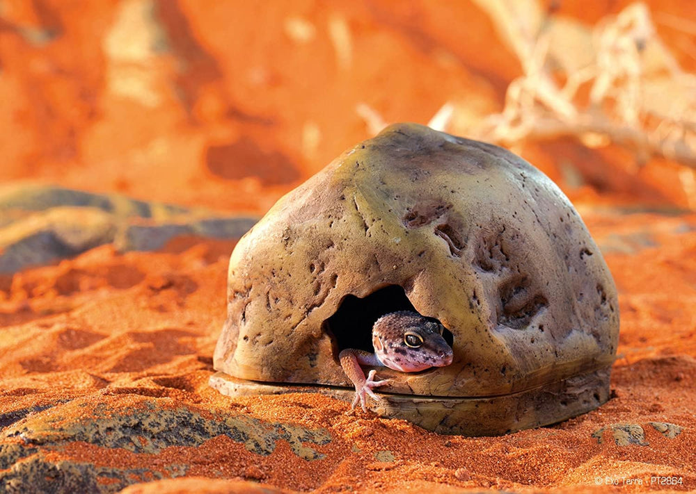 La Gecko Cave de Exo Terra se integra fácilmente en terrarios desérticos y tropicales.