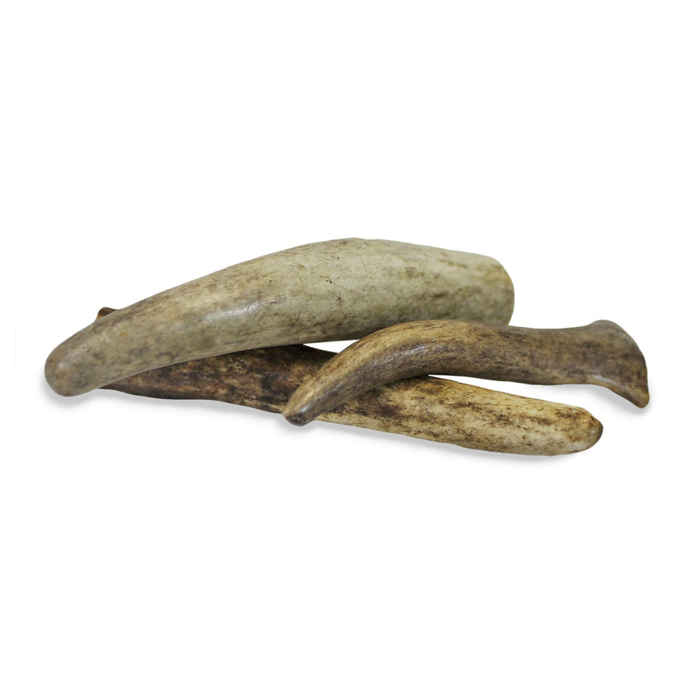 Exotic Nutrition astas de diferentes tallas para roedores pequeños