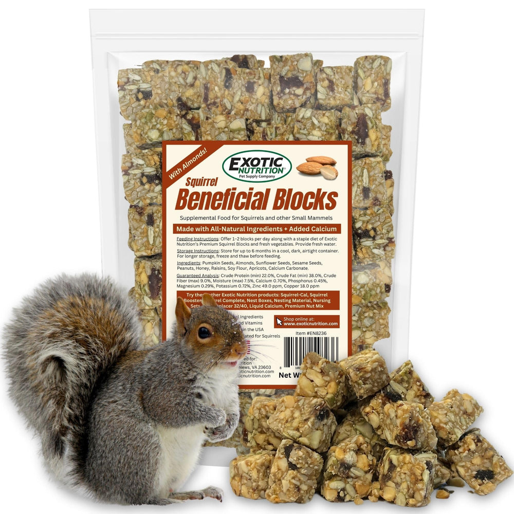 Exotic Nutrition bloque para ardilla, nutrición y snack saludable.
