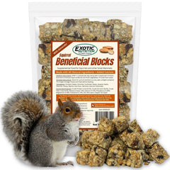 Ardilla con bloque nutritivo Exotic Nutrition para forraje y merienda.