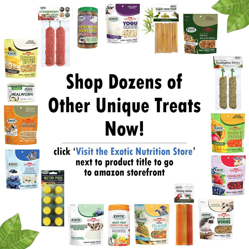 Exotic Nutrition bloque apto como snack diario de ardillas.