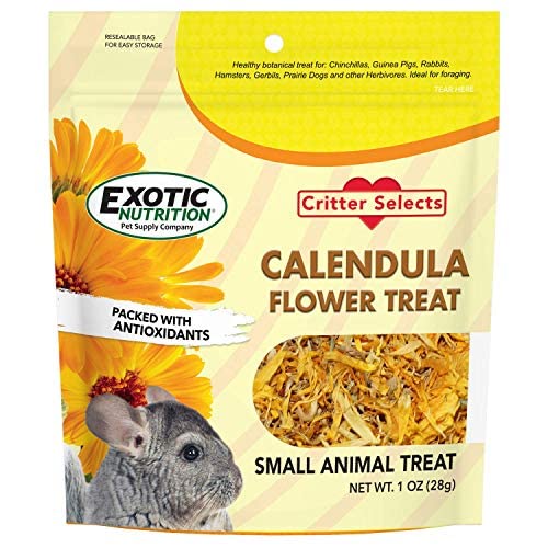 Exotic Nutrition Calendula dentro de un juguete de enriquecimiento para diversión y exploración.