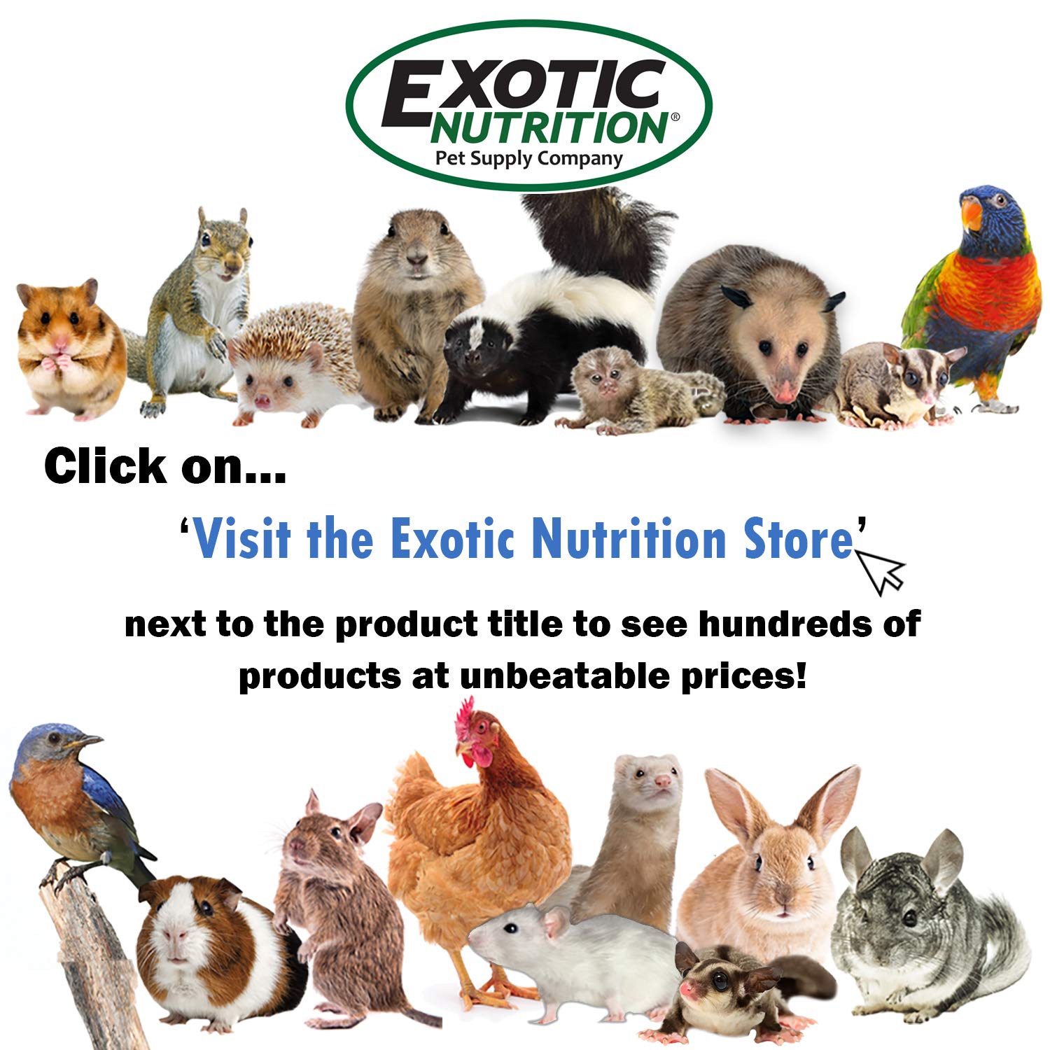 Exotic Nutrition Dieta de Primates del Nuevo Mundo, gránulos con textura aptos para masticar y variedad de alimentación.