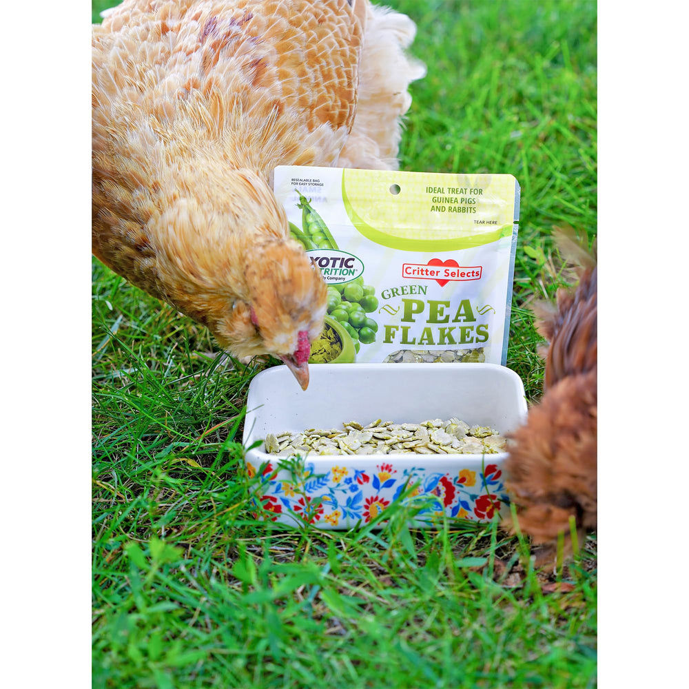 Exotic Nutrition uso sencillo para entrenamiento y refuerzo positivo.