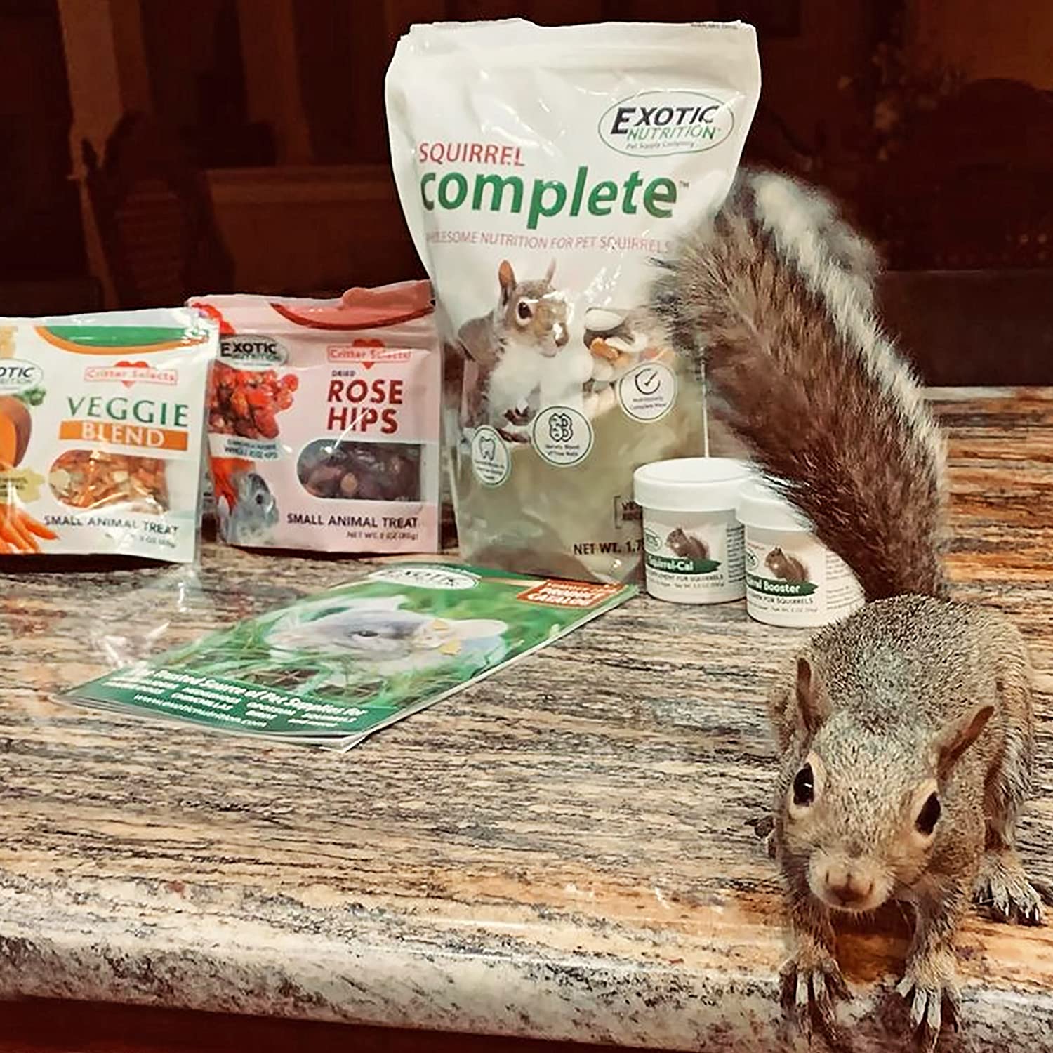 Exotic Nutrition envase resistente para almacenar alimento de ardillas