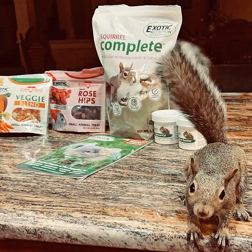 Exotic Nutrition envase resistente para almacenar alimento de ardillas