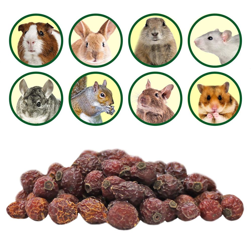 Etiqueta Exotic Nutrition en envase, indicador de fibra y nutrientes.