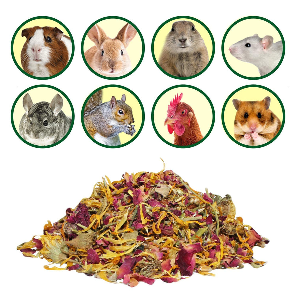 Exotic Nutrition Flower Fusion: pétalos de caléndula para variedad en la dieta.